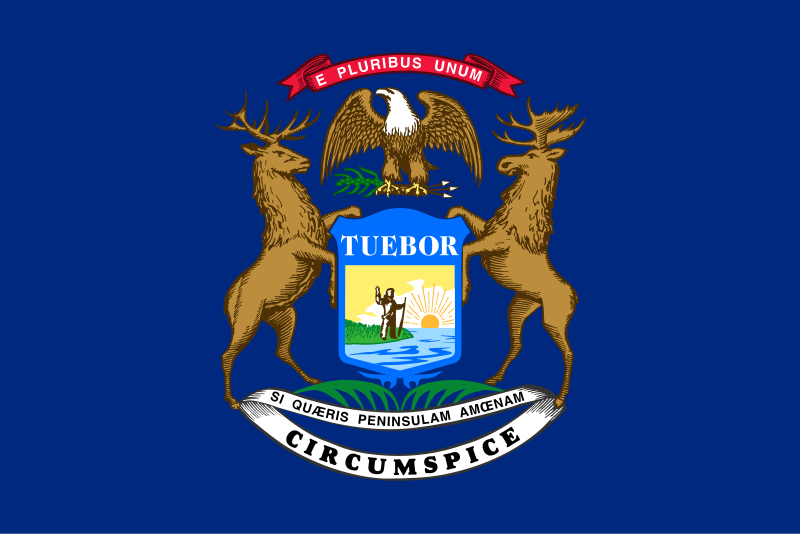 Michigan Disability Approval Rate