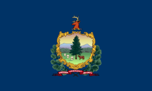 Vermont disability approval rate